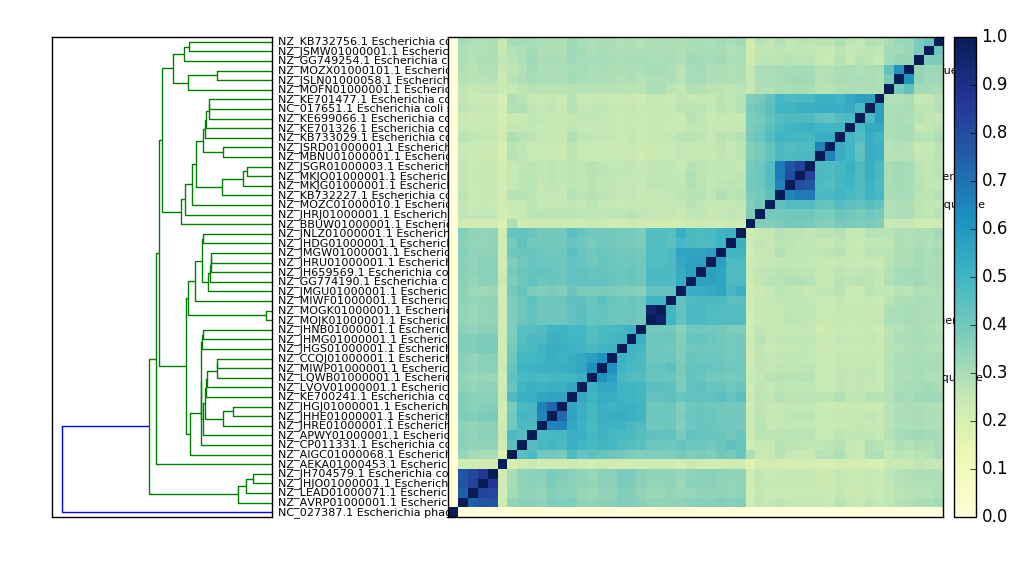 _images/ecoli_cmp.matrix.png